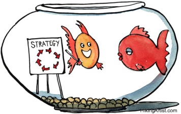 goldfish strategy for blog